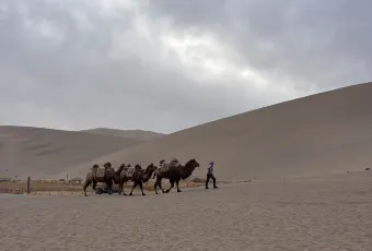 李广记杏皮茶 여행 사진