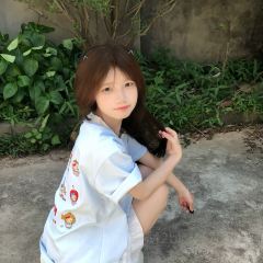 梧桐树 User Photo