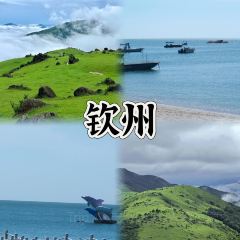老炳·七丛松甘草水果 User Photo