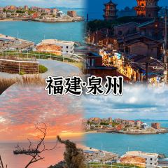 张林阿山姜母鸭(泉州新华北路店) User Photo