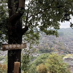 猪圈咖啡屋 User Photo