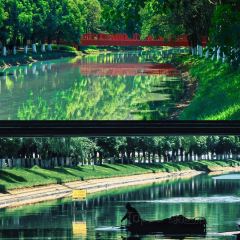 AI SHANG JUN User Photo