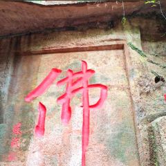 ZHUSANTIANPIYA User Photo