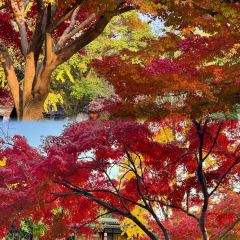 SHUDAXIA HOT POT User Photo