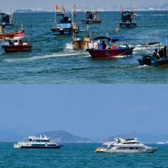 鍾姨糖水（惠城店）張用戶圖片