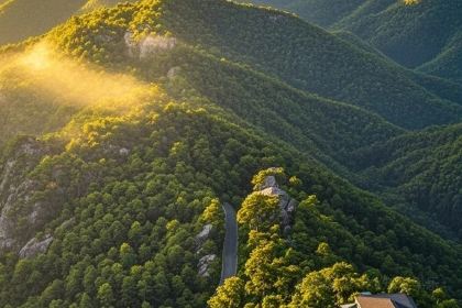 丁莲芳(衣裳街总店)