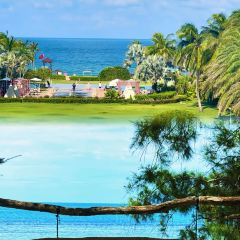 BZK·SEAFOOD User Photo