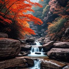 颍阳水席(登封店) User Photo