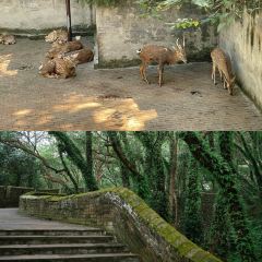 王天顺海苔饼 User Photo