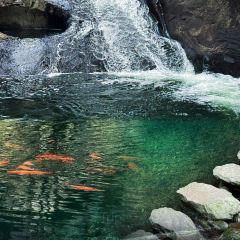 诸暨正宗次坞打面(人民西路店) User Photo