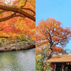 绘璟轩·不醒人室 User Photo