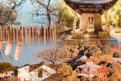 绘璟轩·不醒人室