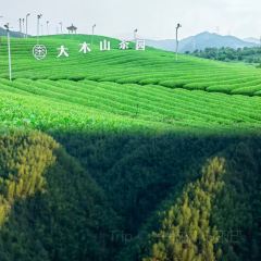 王家厨房(新华路店) User Photo