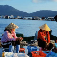 dan jia yu pai User Photo