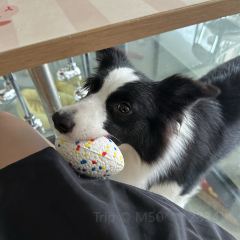 东江湖小院柴房 User Photo