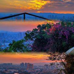 柳州五星步行街怡程酒店·金惠大酒楼(连塘店) User Photo