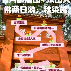 ZHUSANTIANPIYA User Photo