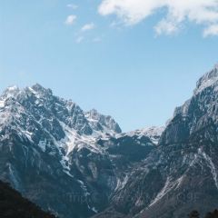 丽江飞鸟民谣酒吧(束河店) User Photo