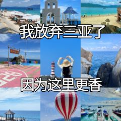 dan jia yu pai User Photo