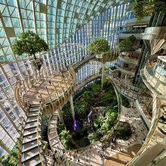 天棒老火锅(老店) User Photo