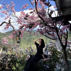 幽兰落 User Photo