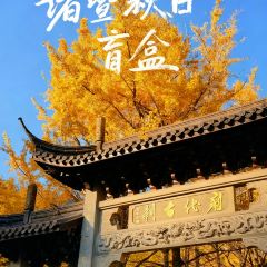 诸暨正宗次坞打面(人民西路店) User Photo