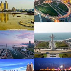 ROYAL OCEAN User Photo