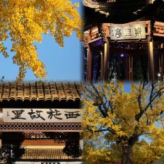 王天顺海苔饼 여행 사진