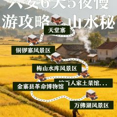 WAN XI REN GU TU CAI GUAN User Photo