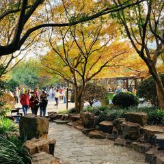 Zhengweizhaiguobacai(Xi Bei Jiao Dian ) User Photo