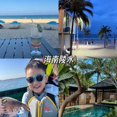 dan jia yu pai User Photo