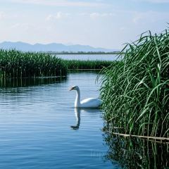 肖家郟縣餄餎面張用戶圖片