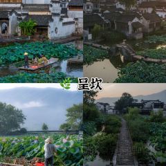 靈山酒釀張用戶圖片