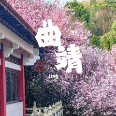 Zhan yi gong shi la zi Chicken (zhan yi) 여행 사진