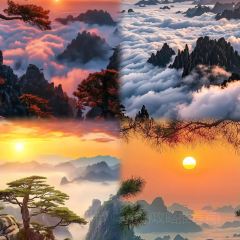 望湖土菜馆 User Photo
