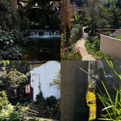 飞茑集樢咖啡 User Photo