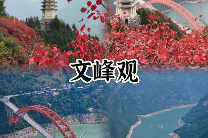 Yijiaguanzizhibao Fish