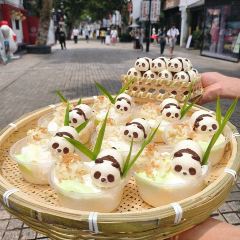 Panda Family User Photo
