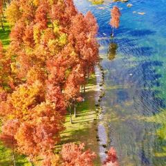 IN MY HEART User Photo