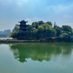 Chongqingxiaotian'e (kaifaqu) User Photo