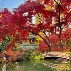 SHUDAXIA HOT POT User Photo