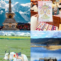 A Ma de su you cha User Photo