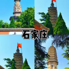 杨记灌肠(食品街店) User Photo