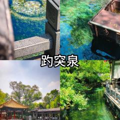 WEIDAOJIA MAMACAI User Photo