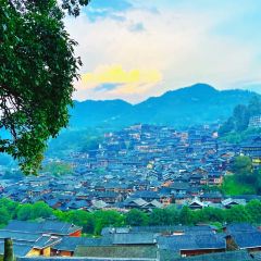 猪圈咖啡屋 User Photo