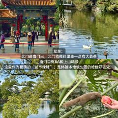 SHANGSHAN TEAHOUSE User Photo