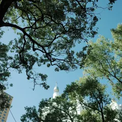 圆圈松跃生烫(新华商城小区店) User Photo