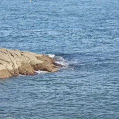 MAO JI HAI XIAN SHA GUO ZHOU User Photo