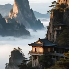 一尺稻田咖啡 User Photo