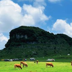 夜郎别院(凉都青瓦房烙锅) User Photo